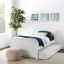 Cozy Twin Kids Bed with Trundle