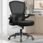 Computer Chair
