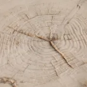 صورة طاولة جانبية خارجية