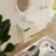 صورة منضدة حمام